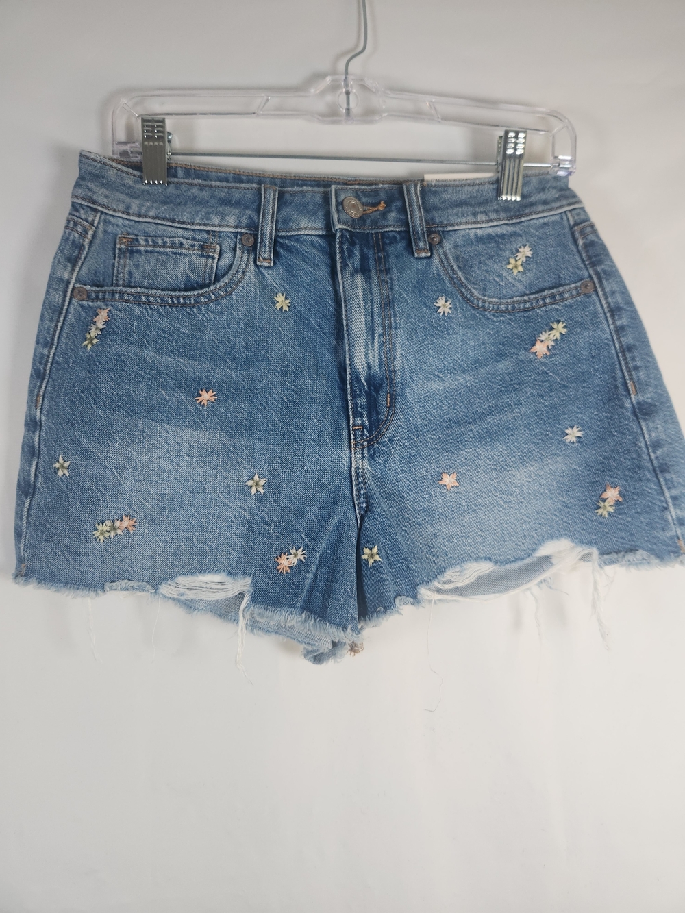 American Eagle Outfitters Light Blue Floral Embroidered Denim Shorts